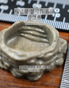 [JIF] 캐년형 절지류 유체 물그릇